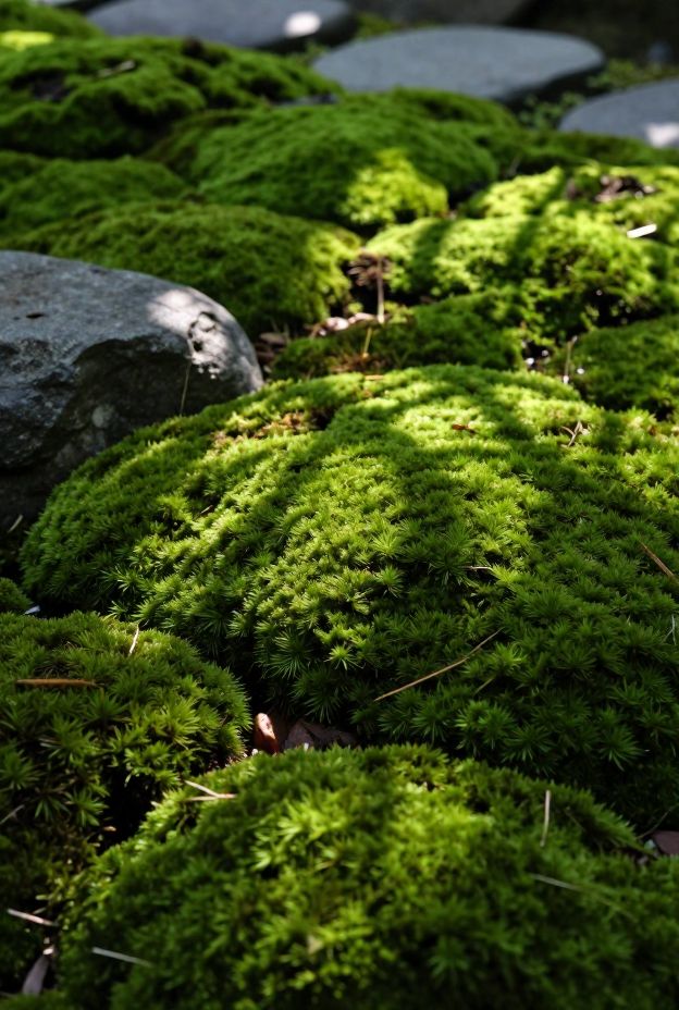 11 Zen Garden Ideas for Peaceful Retreats